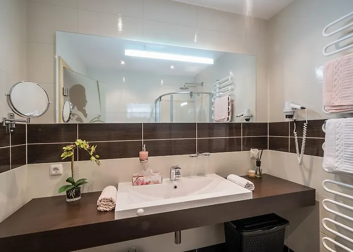 Mozart * 메이른호픈